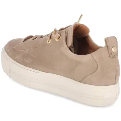 Hot Low Sneaker - Damen Sneaker