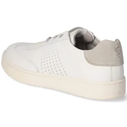New Low Sneaker - Herren Sneaker