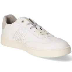 New Low Sneaker - Herren Sneaker
